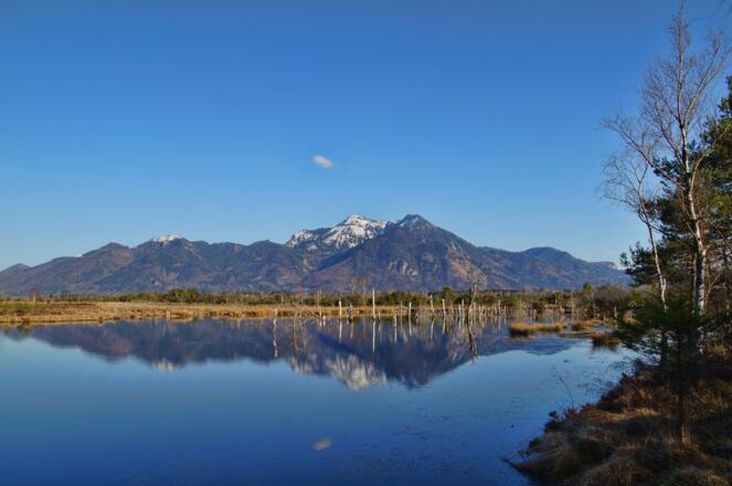 Große Bernauer Joggingrunde - Kendlmühlfilze
