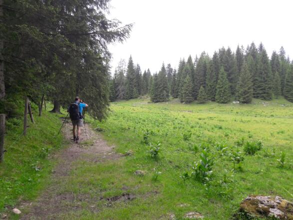 Beginn der Oberen Hemmersuppenalm