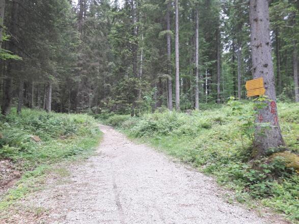 Weiterweg zur Oberen Hemmersuppenalm
