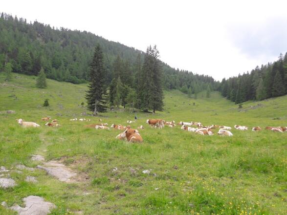 Letzter Teil der Oberen Hemmersuppenalm