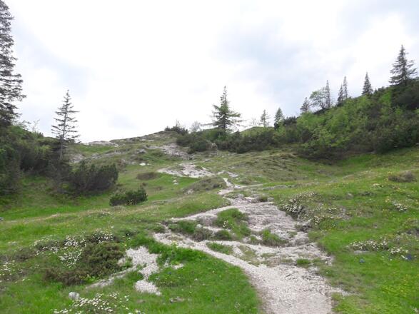 Felsiger Steig zum Straubinger Haus