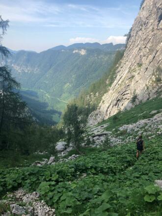 Serpentinen in der Kiesfläche des Baumgartens.