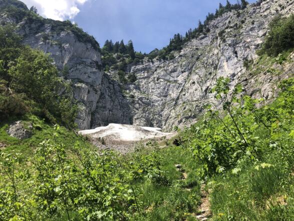 Unterhalb des Edelweißlahner-Kopfs hält sich bis spät ins Jahr hinein ein Schneefeld. Wir halten uns rechts.