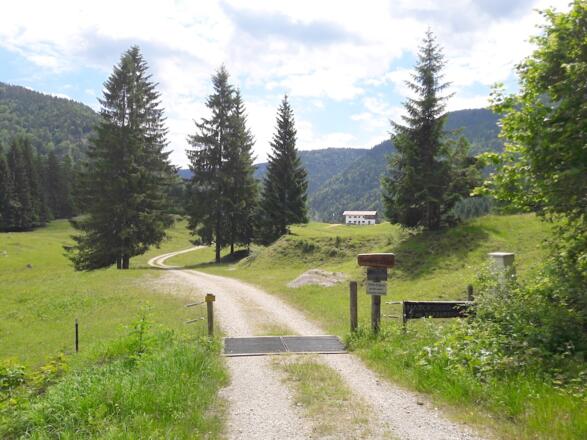 Blick zur Knogleralm