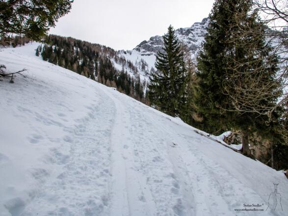 Kurz vor der Ecker Alm kann man zum ersten Mal das Ziel am Horizont erkennen.