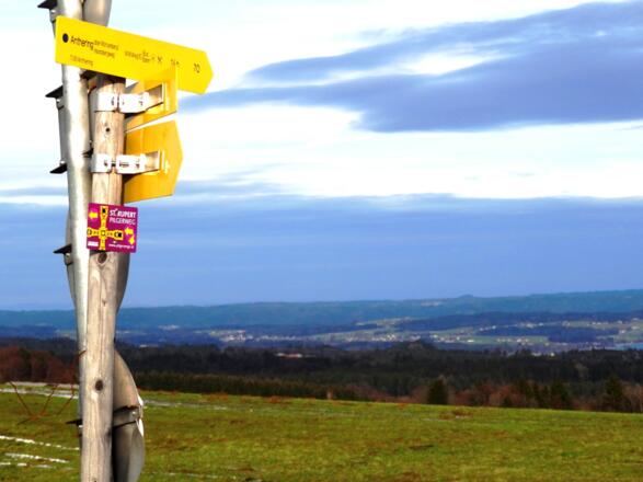 Blick von der Kaiserbuche am Haunsberg