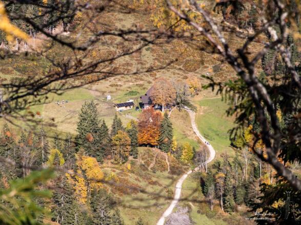 Tief unter uns zeigt sich ein Farbenspiel rund um die Steiner Alm.