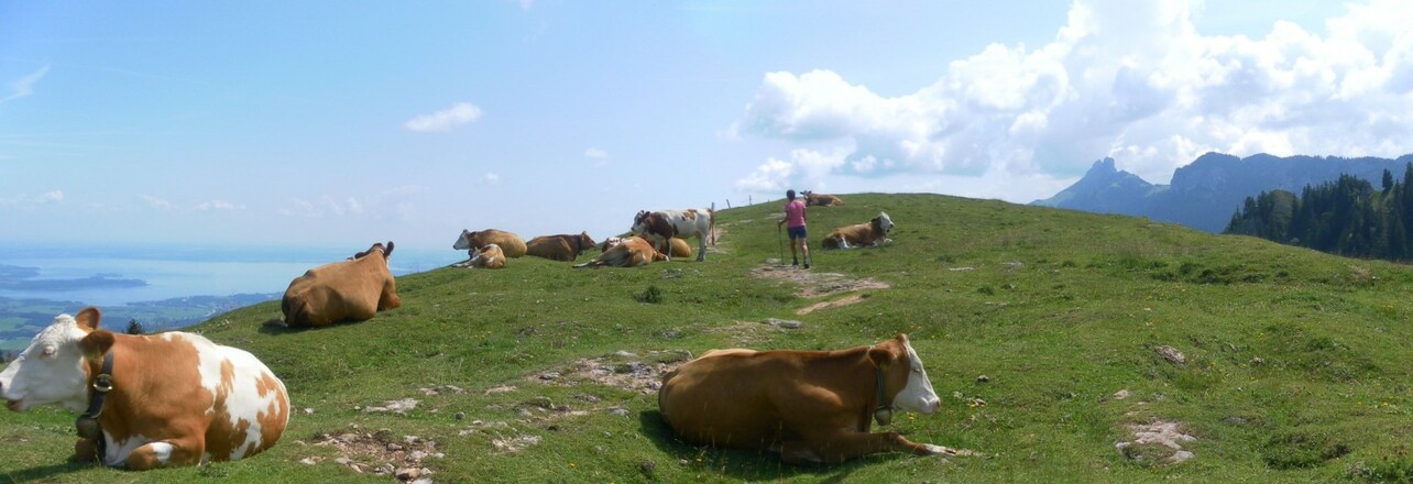 Laubenstein, Chiemsee und Kampenwand