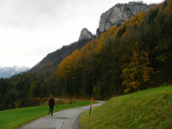 Straße nach Kaltenhausen mit Barmsteinblick