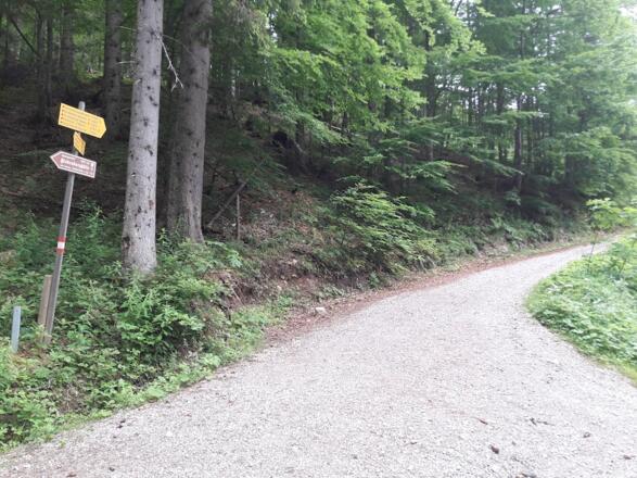 Weiterweg zur Oberen Hemmersuppenalm