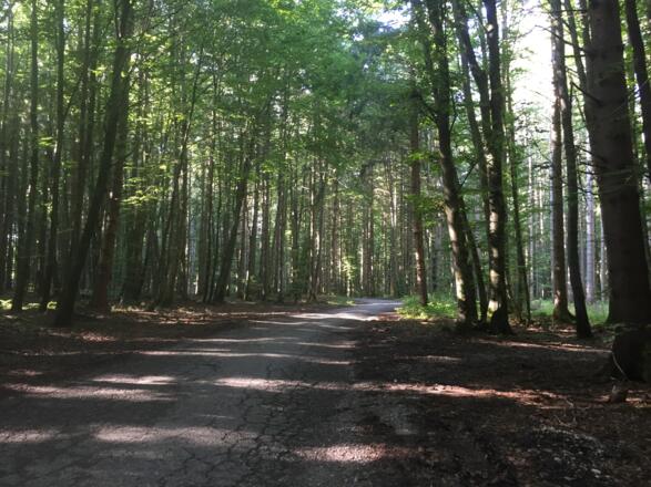 Radweg nach Kleinhelfendorf