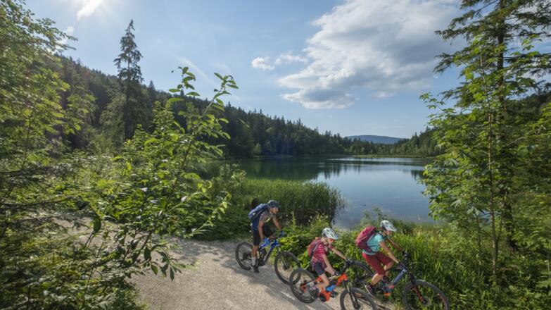 Rund um den Frillensee