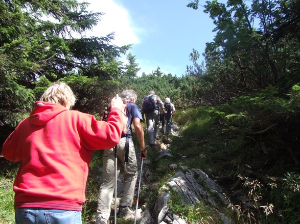 Inzell/Chiemgau: Aufstieg zum Gipfelkreuz Inzeller Kienberg