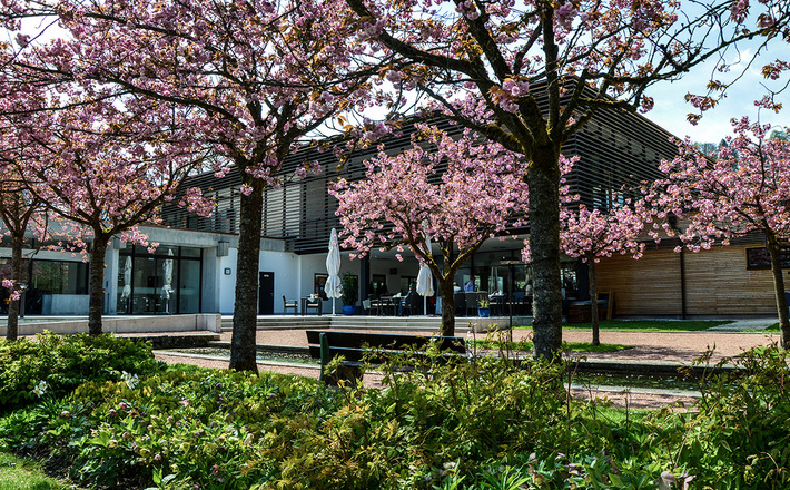 Die Terrasse von Sophie&#039;s Cafe &amp; Restaurant zum Kurgarten