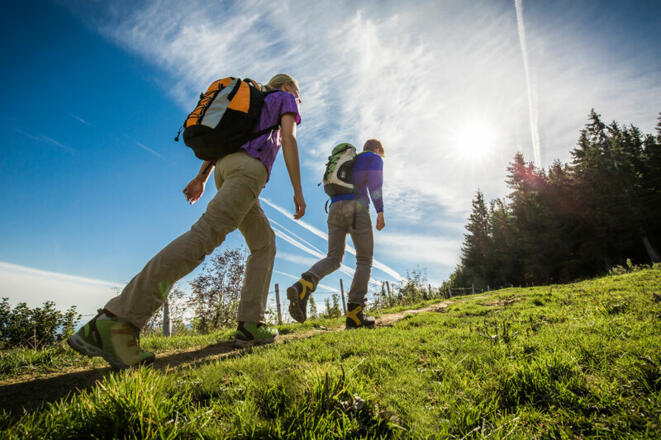Inzell Wandern Wiesenweg
