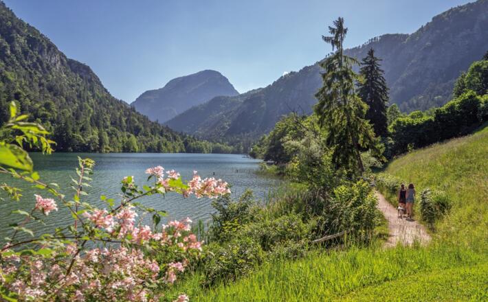Frühling am Thumsee