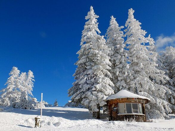 Winter auf dem Predigtstuhl