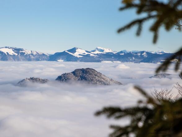 Auf dem Toten Mann ist man im Herbst und Winter oft oberhalb, wenn das Tal im Nebel liegt.