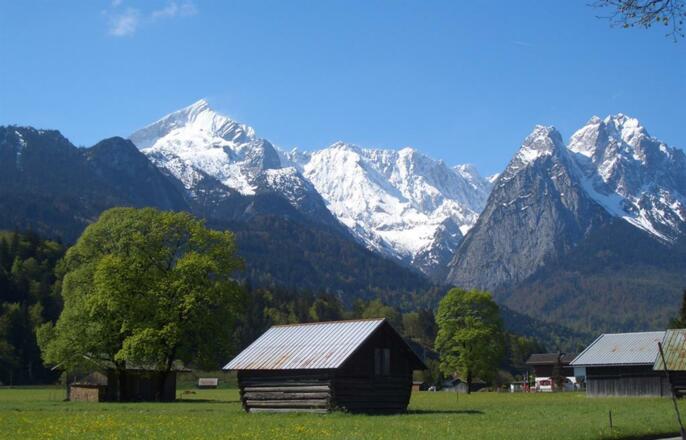 Fruehling_-_Neuschnee_u_frisches_Gruen