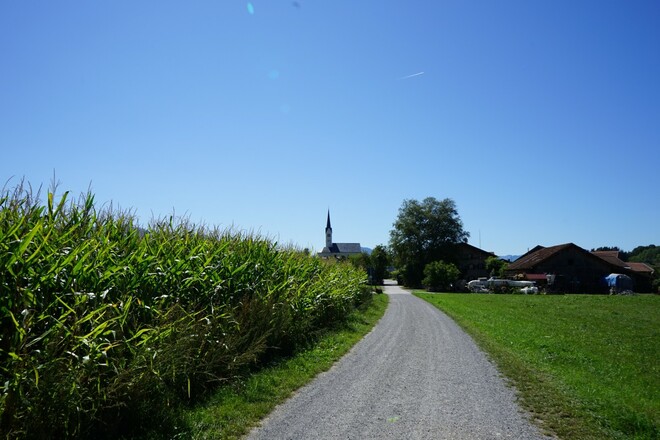 Fahrt in Richtung Riedering