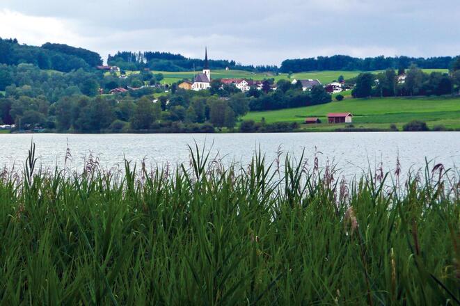Wunderschöne Seeblicke vom Ostufer