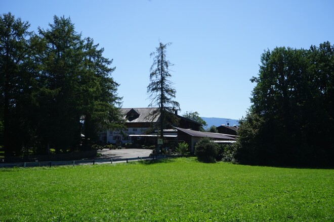 Gocklwirt am Weinberg mit der größten Kunstuhr der Welt