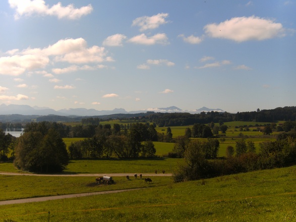 Blick von St. Coloman 2