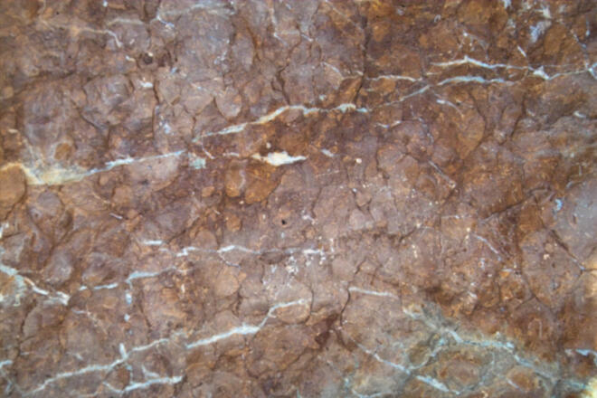 Detailansicht des Gesteins