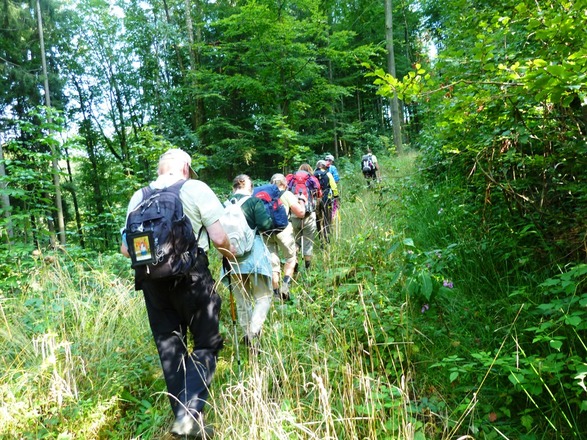 Unterbuchfelln vor Traunstein