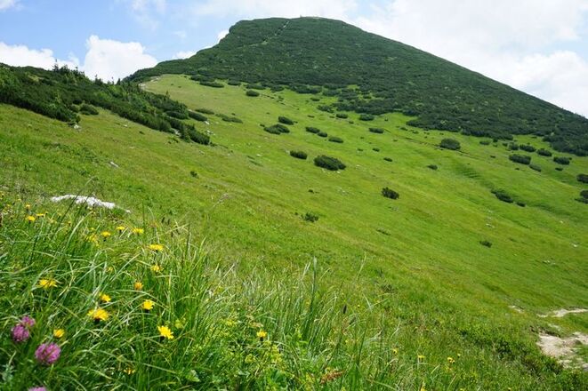 Almwiese am Geigelstein