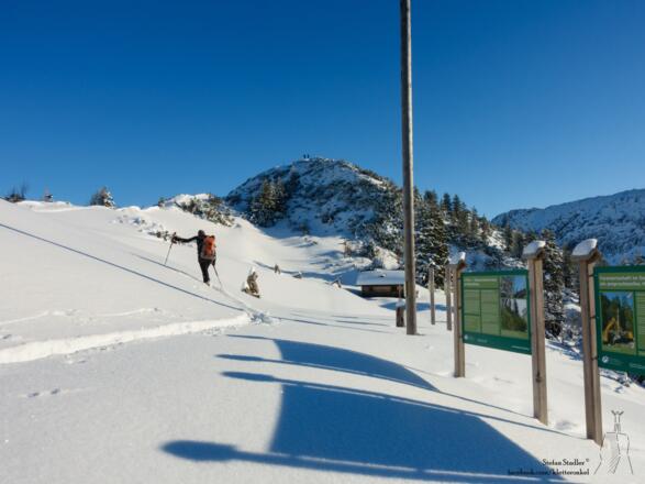 die letzten Aufstiegsmeter zum Roßgassenkopf