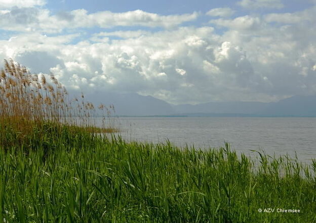 Toller Seeblick vom Beobachtungsturm Seebruck.