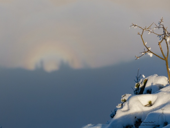 Halo (Lichtspiel) auf der Nebeldecke