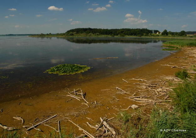 Sand- und Schlammbänke am Achendelta.