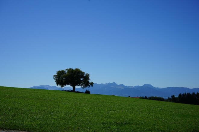 Blick von Bergham ins Mangfallgebirge