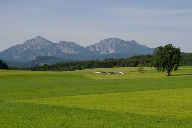 Blick auf Hochstaufen und Zwiesel