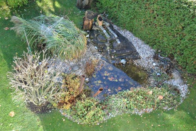 kleiner Teich im Garten