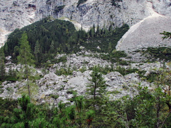 Vor etwa 500 Jahren donnerte der Bergsturz ins Reintal.