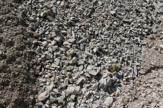 typisch für Hauptdolomit ist sein Zerbröseln in scharfkantige kleine Brocken.