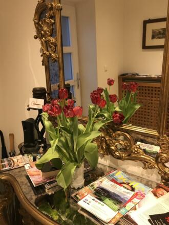 5F656232-B86D-435D-9C0F-BCE414BB5B47