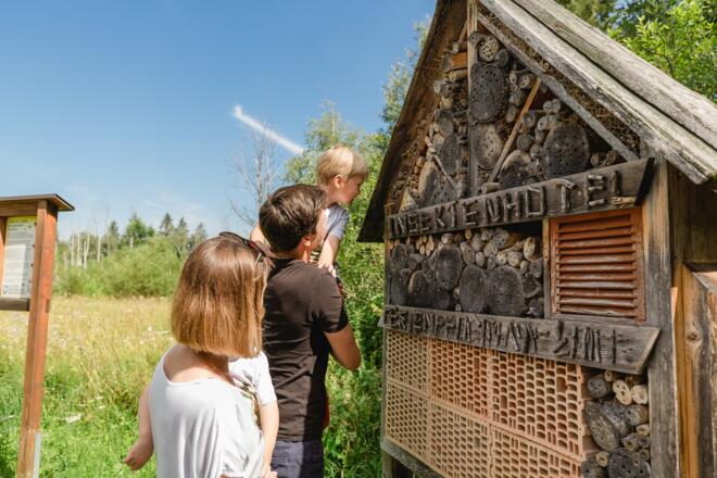 Bienen-/ Insektenhotel im Inzeller Moor