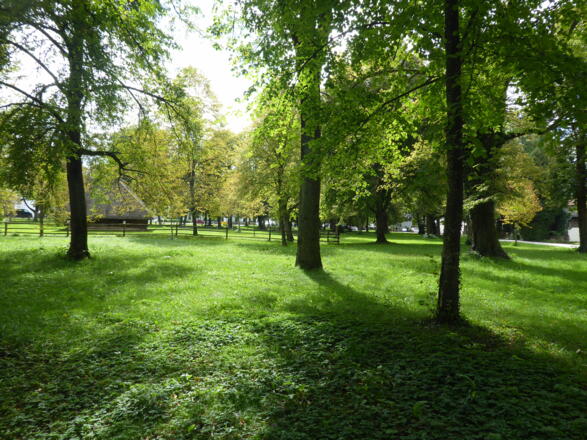 Lindenhain mit Herderhaus Bergham