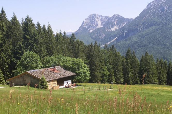 Bäckeralm Inzell - Blick Hochstaufen
