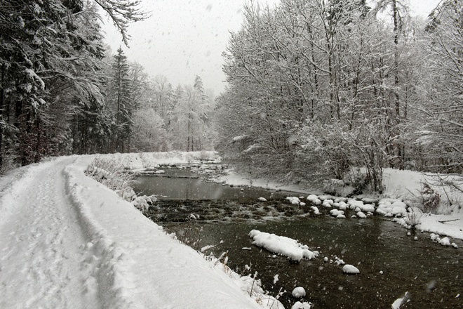 Thal Rundweg am Auerbach