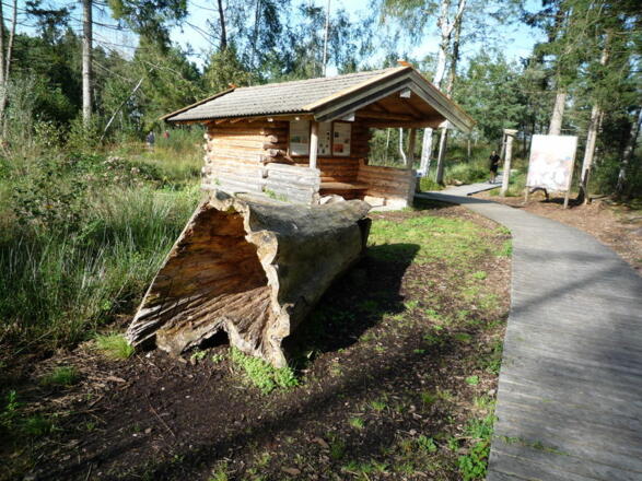Balancierbaum in den Sterntaler Filzen.
