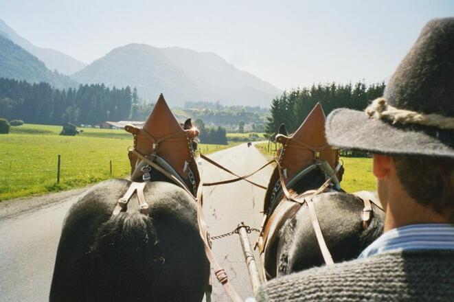 Kutschenfahrt mit Bergblick