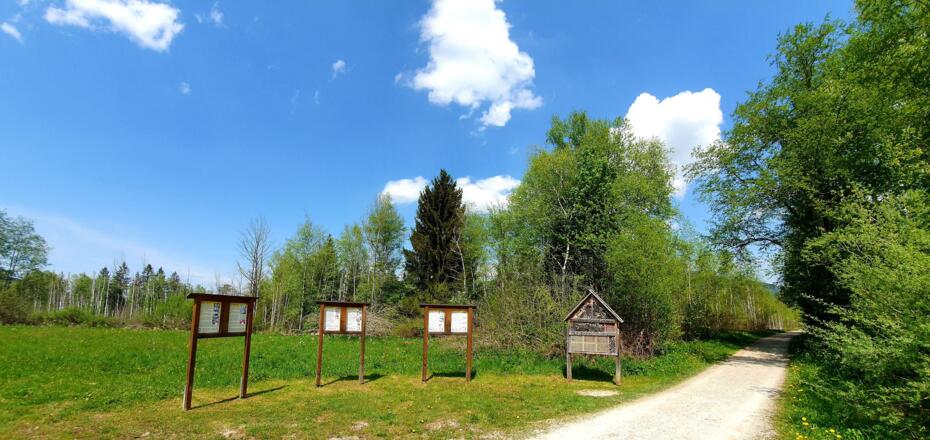 Informationen über die fleißigen Bienen