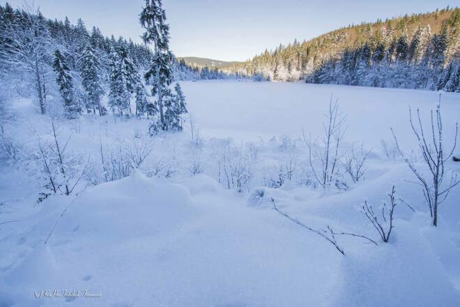 Roha-Fotothek Fürmann - Frillensee im Winter