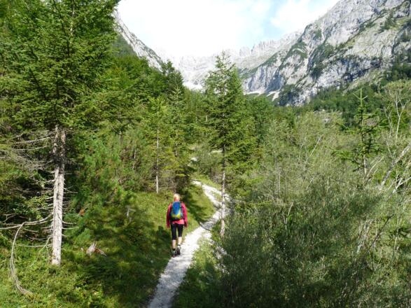 Der erste Blick ins ursprüngliche Bergleintal.