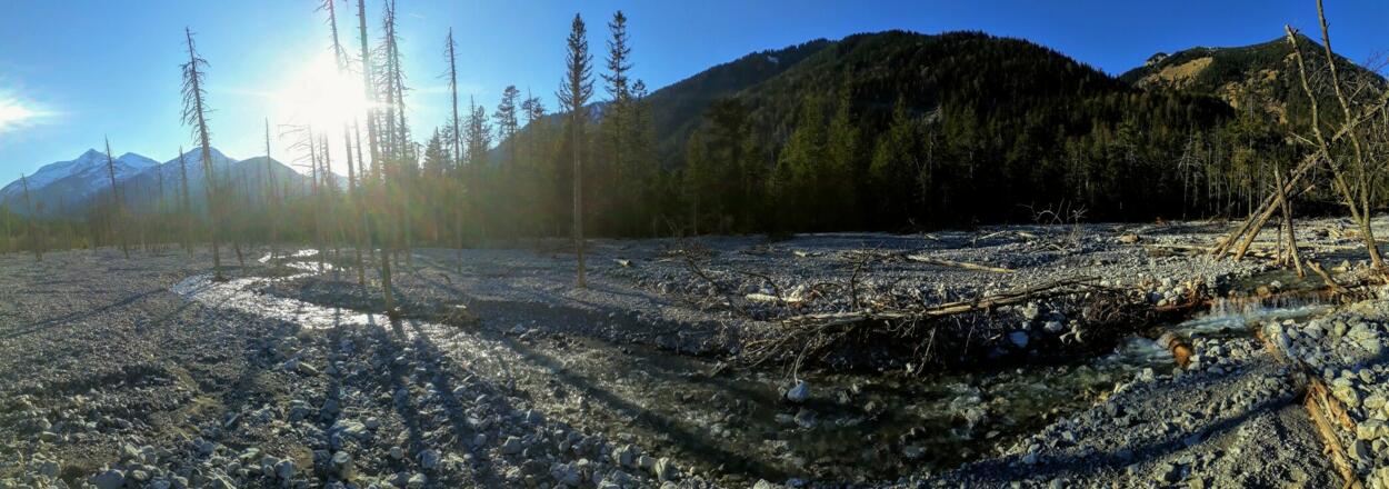 Das Bachbett der Friederlaine im Friedergrieß